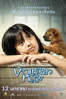 你是我的眼电视剧影视海报