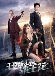 新红楼梦艳情版影视海报