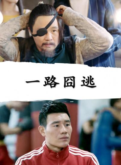 达尔盖影视海报