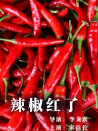 变形计主人公摔死停播影视海报