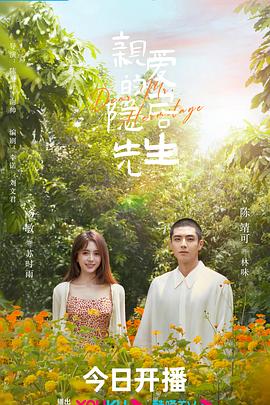 恋爱先生剧情影视海报
