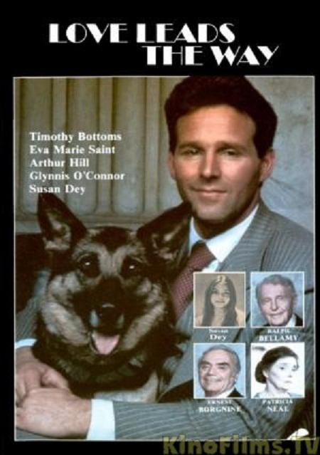 云巅之上在线观看影视海报