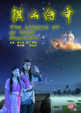 爱情公寓电影百度云资源影视海报