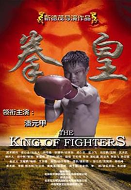 谍战狂花影视海报