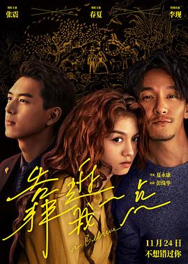 潇湘书院完结小说影视海报