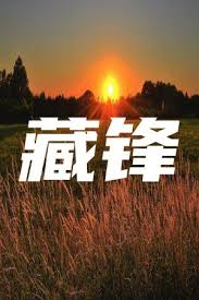 法国人与马z00z00影视海报