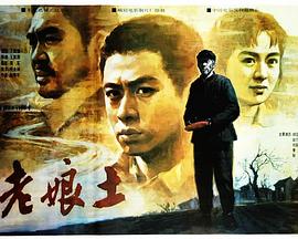 不收费的全黄录像片影视海报