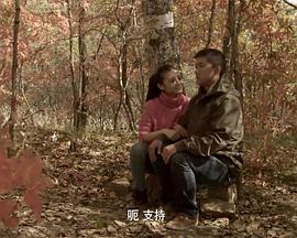 性板韩国17完整电视影视海报