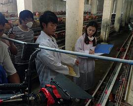 快新h惩罚内壁分身影视海报