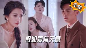 日本桃井理乃在线视频影视海报