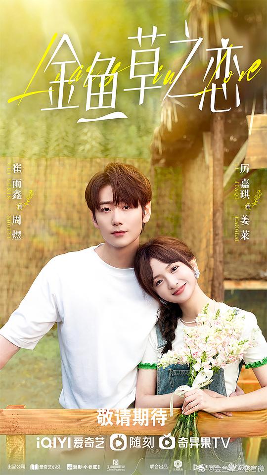 家庭美母沉沦小说影视海报