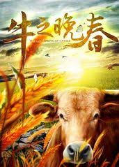 真人在线视频影视海报