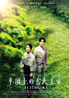 头号女配修仙空间影视海报