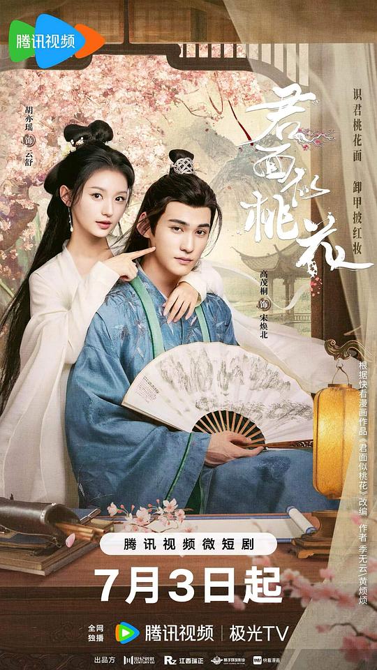 我的左手右手影视海报