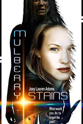 大话西游之女儿国电影影视海报