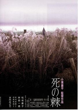 色即是空2在线影视海报