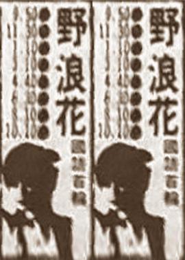 七人魔法使全集在线影视海报