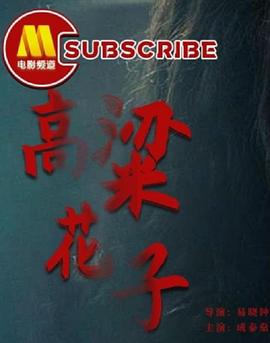 夜夜欢视频影视海报