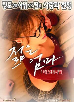 明末风云电视剧影视海报