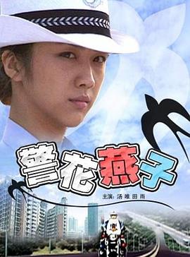 地球之极影视海报