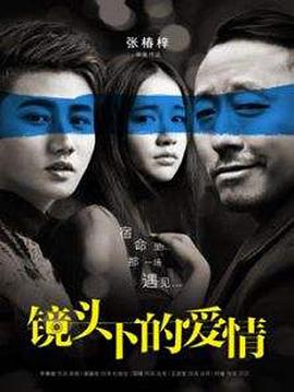 家族诞生第一季影视海报