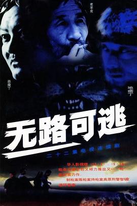 王牌贱谍无删减版1080影视海报
