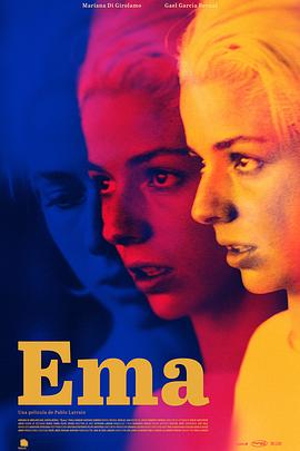 仔仔网在线观看2019影视海报