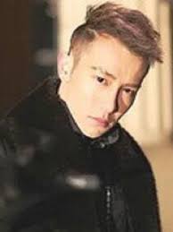 射雕英雄传东邪西毒83版影视海报