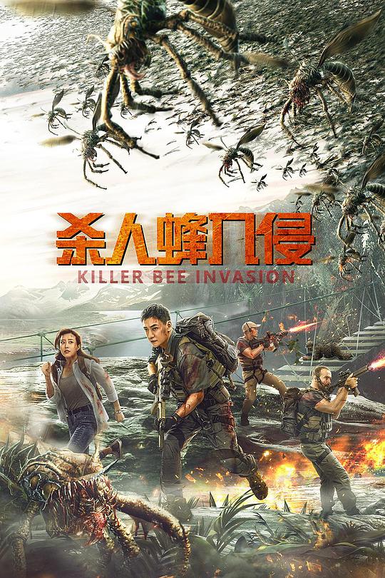 大时代1992版免费观看影视海报