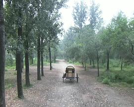 k频道官网影视海报