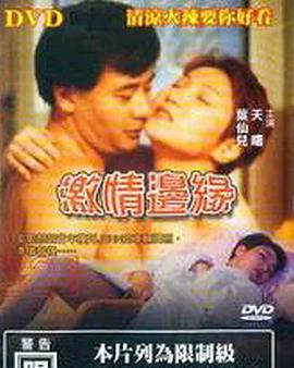 陪你到世界之巅在线影视海报