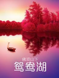 请原谅我影视海报