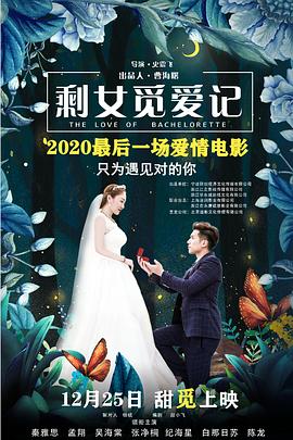 神奇宝贝第九季影视海报