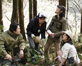 美播影院手机在线观看影视海报