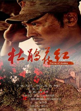 我和我的黑道老公影视海报