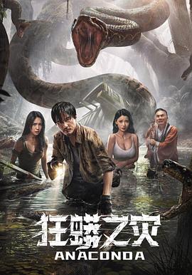 高堡奇人第一季影视海报