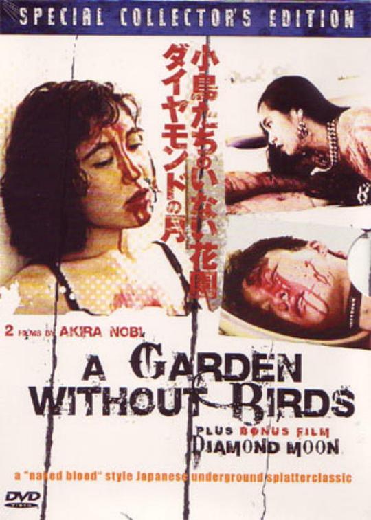 木兰情影视海报