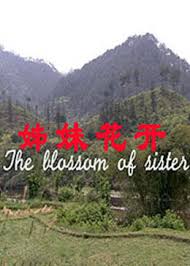 青春同学会影视海报