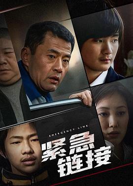 傻王闯天下免费观看全集影视海报