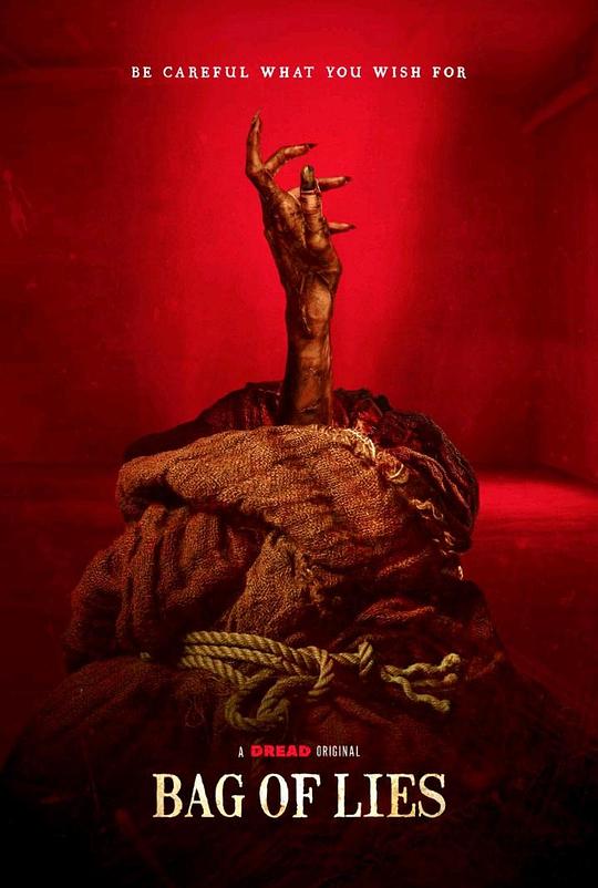 美国式禁忌影视海报