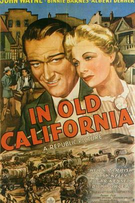 嘘禁止猜想完整影视海报