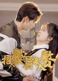 芈月传电视剧全集影视海报