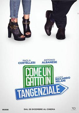 上一篇20p影视海报