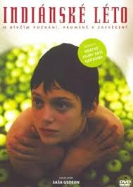 先热情的清扫吧影视海报