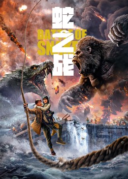 洪湖赤卫队老电影影视海报