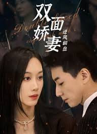 天下第一电视剧免费观看影视海报