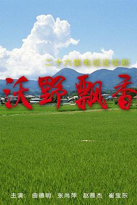 好运来临电视剧影视海报