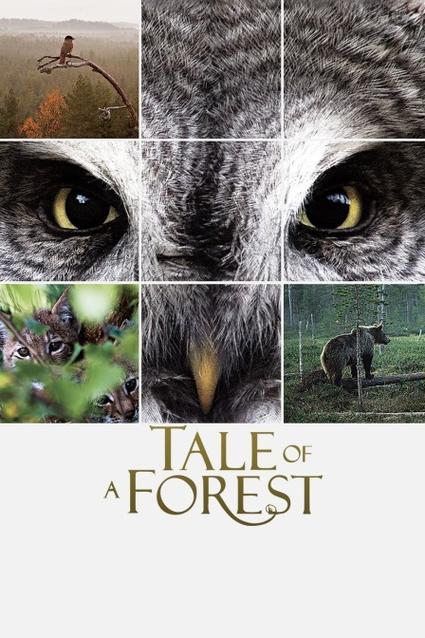 野鸡网24小时网站影视海报