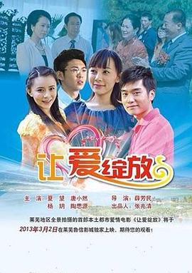 清穿儿媳勾搭康熙影视海报