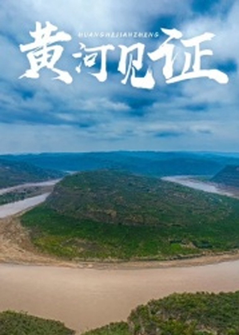 大虎高清完整版影视海报